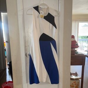 Narciso Rodriguez dresss